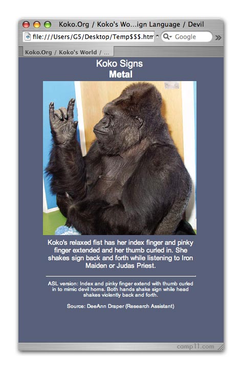Koko Signs Metal